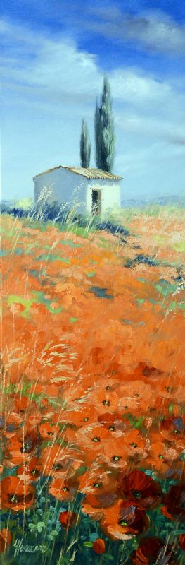Poppies In The Provence
