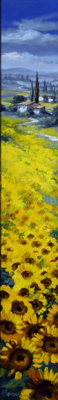 Path Through Sunflower Fields