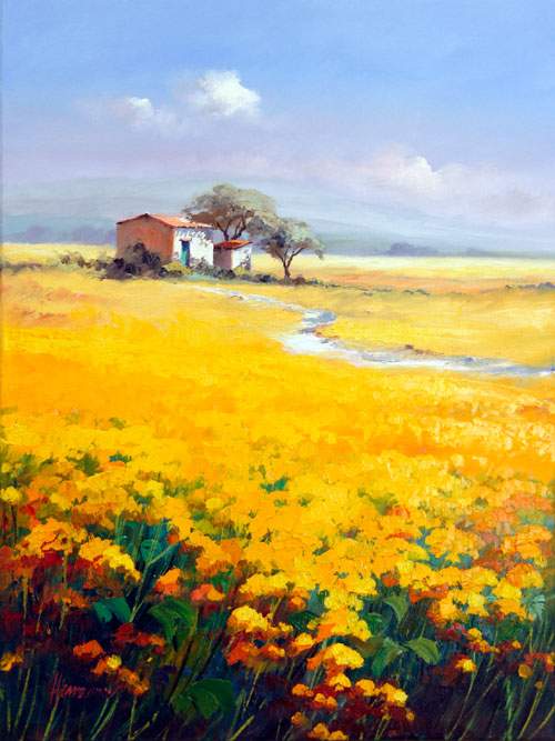 Rapeseed Blossom Near Montechiaro - Tuscany